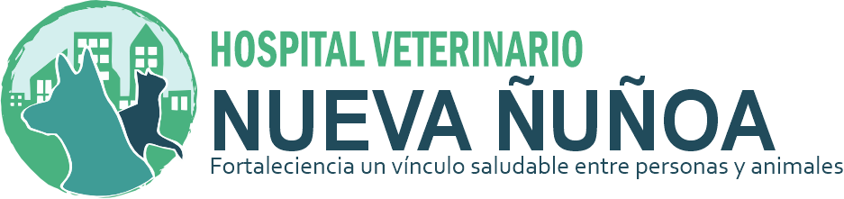 branding logo